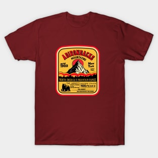 Adirondack Mountains (ADK) Aged Look T-Shirt